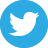 Twitter social media icon